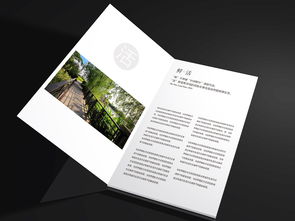 金地天境三期产品主形象与个人形象设计 打造高端生活新标杆